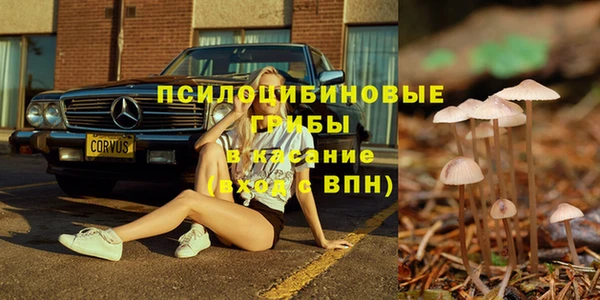 твердый Уссурийск