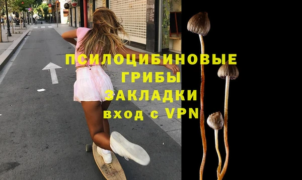 крисы Новочеркасск