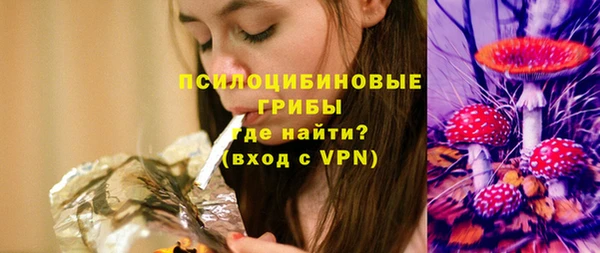 твердый Уссурийск